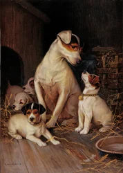 La petite fille et ses chiens