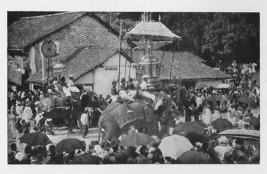 Kandy Perahera. - Une procession d