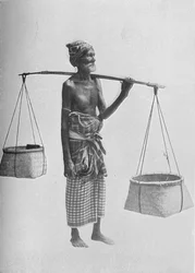 Porteur de Pingo, vers 1890, 1910