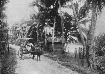 Route à côté de la rivière Kelaniya, vers 1890, 1910