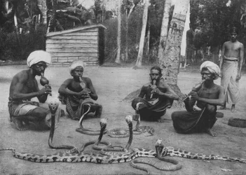Charmeurs de serpents
