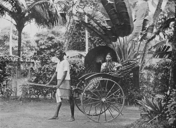 Dame tamoule en pousse-pousse, vers 1890, 1910