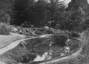 Le Jardin de Roches, Jardins de Hakgalla, Nuwara Eliya