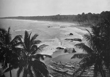 Vue depuis le mont Lavinia, montrant des palmiers le long du rivage, vers 1890, 1910