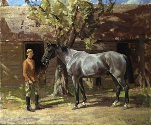 Gris avec garçon d