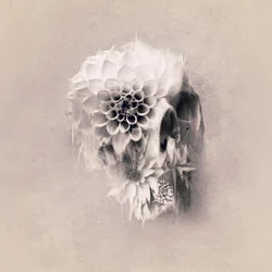 Crâne floral éthéré