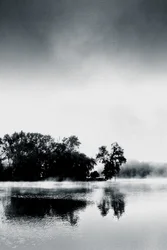 Boissy Morning, 2017 (photographie peinte à la main)
