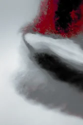 Mission, de la série Missionnaire, 2019 (photographie)
