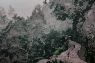 Chemin sur les Levadas, 2020 (photographie peinte à la main)