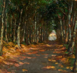 Allée dans le parc, vers 1906