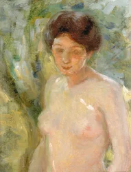 En plein soleil, vers 1910