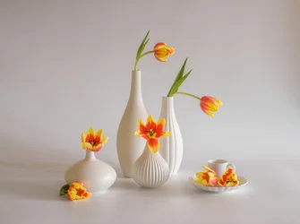 Nature morte aux tulipes aux couleurs vives