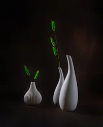 Vases élégants avec verdure