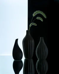 Vases élégants avec herbe