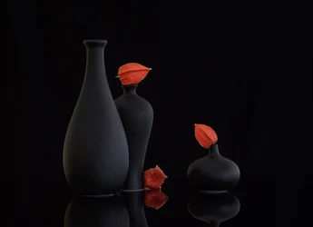 Nature morte aux physalis orange