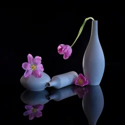 Tulipes violettes en reflet