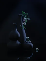 Vases et fleurs sereins