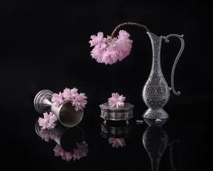 Argent et sakura