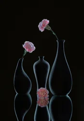 Élégante nature morte florale