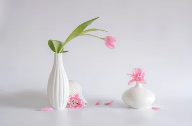 Composition de tulipes rose pâle
