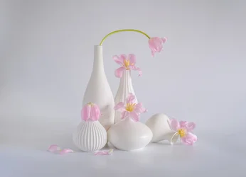 Nature morte aux tulipes rose pâle