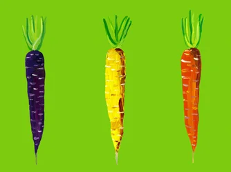Carottes du jardin aux couleurs vives
