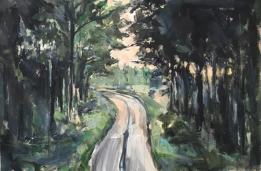 Route forestière sinueuse