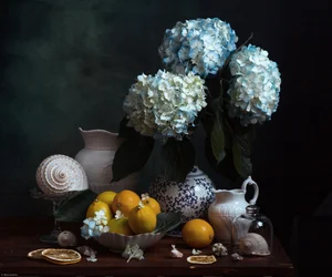 Hortensias bleus et citrons