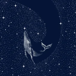 La baleine de la nuit étoilée