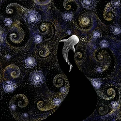 Le requin-baleine : une nuit étoilée