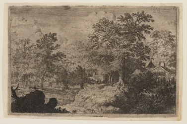 Le chêne sur la colline
