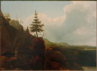 Paysage de montagne avec sapin