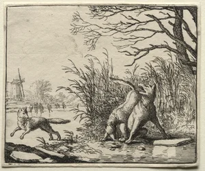 Renard le Goupil : Une Nouvelle Accusation par le Loup