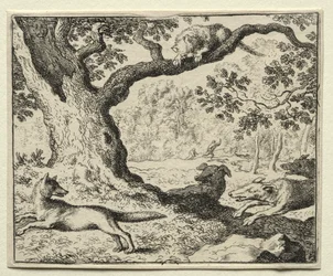 Renard le Goupil : Le Chat Déloyal