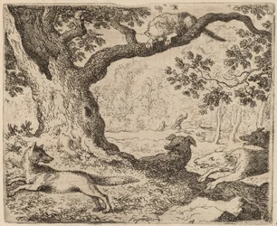 Le père de Reynard et le chat poursuivi par des chiens
