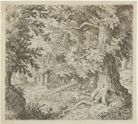 Le Ruisseau dans le bois, 17e siècle