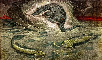 Transition des poissons aux reptiles : Protésaur (en haut) reptile du poisson, période du charbon. Le Holoptychius en bas à gauche, et L