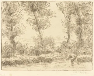 Les bords de la Liane