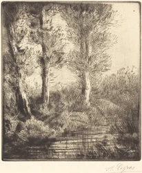 Rives du Saint-Pre