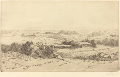 Les bords de la Yanne
