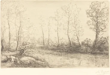 Les Bouleaux: Bord de l