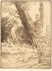 Bord de ruisseau