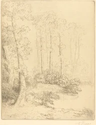 Au bord de l