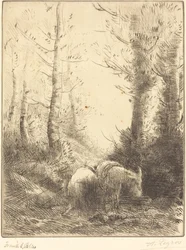 Le fermier et son âne