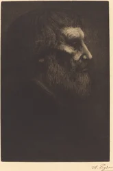 Tête de mendiant