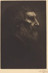 Tête de mendiant (Tête de mendiant)