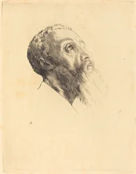 Tête de modèle