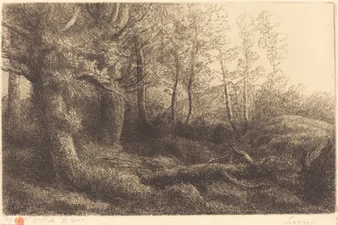 En forêt (Lisière de forêt)