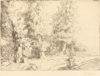 Dans la forêt de Fontainebleau