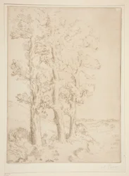 La liseuse : La lecture sous les arbres